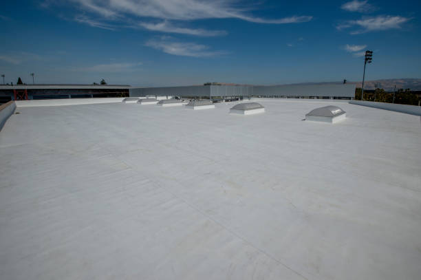 Best Asphalt Shingle Roofing  in Cove Creek, NC
