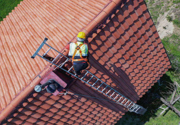 Best Roof Coating and Sealing  in Cove Creek, NC